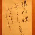 揚羽蝶おいらん草にぶら下がる 揚羽蝶おいらん草にぶら下がる