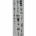 白鷺は雪が降るとますます美しく身を研いで凛として立ちまた勁く翼を搏ち飜して空へ舞う天地一色に塗り込める雪に自分の姿を消す 白鷺は雪が降るとますます美しく身を研いで凛として立ちまた勁く翼を搏ち飜して空へ舞う天地一色に塗り込める雪に自分の姿を消す