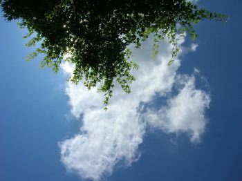 引き寄せられるもの