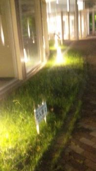 月曜日のお稽古