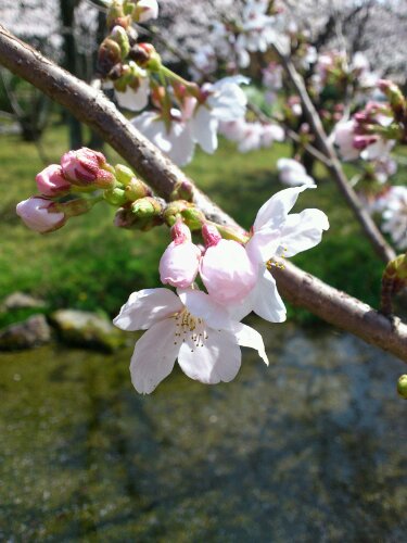 どこへでも