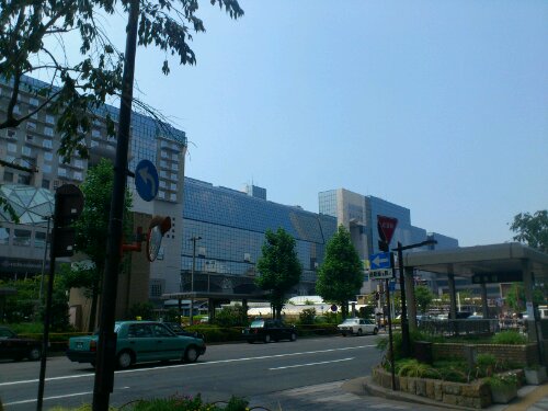 観