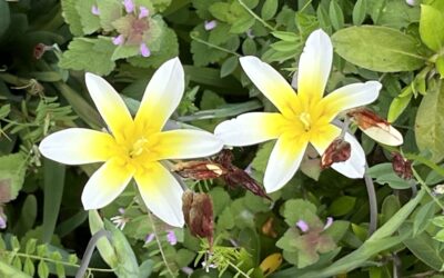 いつもと違う道