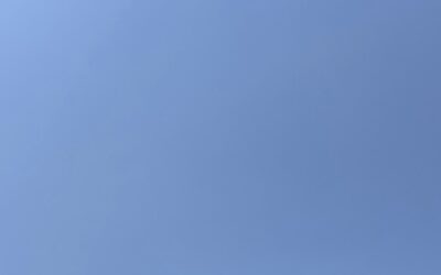 さえずり