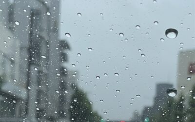 禿げそう問題