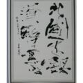 第34回(1998年) 秀逸 北国を銀漢駈けて雪がふる 秋元不死男の句 北国を銀漢駈けて雪がふる