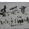 菜の花や昼ひとしきり海の音 蕪村の句 菜の花や昼ひとしきり海の音