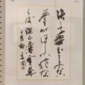 決して萎むことのない夢がほしい花ならば深山雪割草 千尾の詩 決して萎むことのない夢がほしい花ならば深山雪割草
