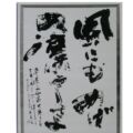 第36回(2000年) 秀逸 風にもめげぬ凛々しさよ ・・・ 風にもめげぬ凛々しさよ ・・・
