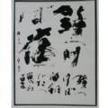 第31回(1995年) 秀逸 鐘つけば雀翔びたつ蔦紅葉 頼子の句 鐘つけば雀翔びたつ蔦紅葉