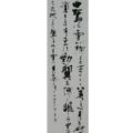 第24回(1988年) 二科賞 白鷺は雪が降るとますます美しく身を研いで凛として立ちまた勁く翼を搏ち飜して空へ舞う天地一色に塗り込める雪に自分の姿を消す 宮崎丈二の詩 白鷺は雪が降るとますます美しく身を研いで凛として立ちまた勁く翼を搏ち飜して空へ舞う天地一色に塗り込める雪に自分の姿を消す