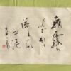 朝露によごれて涼し瓜の泥 松尾芭蕉の俳句 朝露によごれて涼し瓜の泥