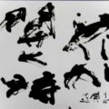 第56回(2004年) 秀作賞 花が開く時 ゆっくりと開いていく
