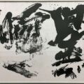 第69回(2017年)星が瞬く 暗黒に瞬く