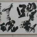 第65回(2013年)躍動する魂 震える魂