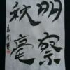 明察秋毫 どんな小さなことも見逃さない非常に優れた洞察力のたとえ 明察秋毫