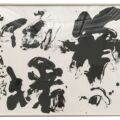 第68回(2016年)夢の伝播 伝えたい想いがある 夢の伝播 伝えたい想いがある